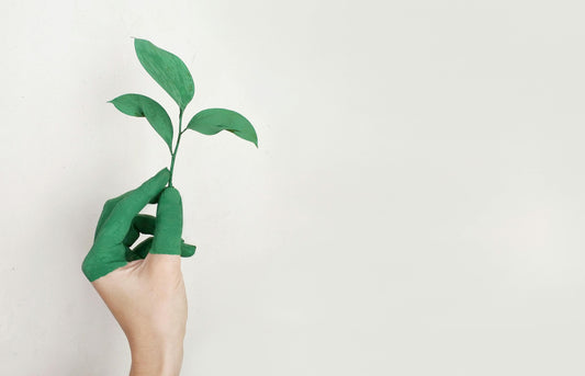 main qui porte une plante