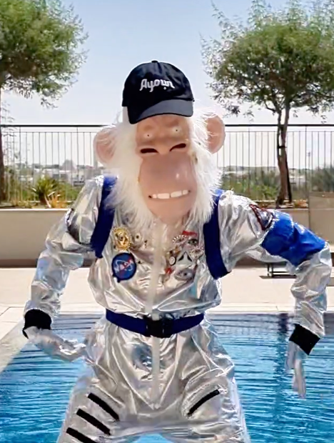 Ayoun le singe astronaute a dubai