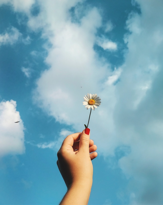 fleur tenue entre les main devant le ciel bleu