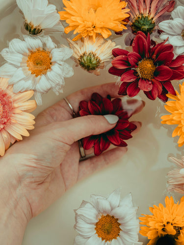 fleurs qui flottent dans l'eau