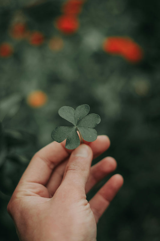 trèfles avec 4 feuilles