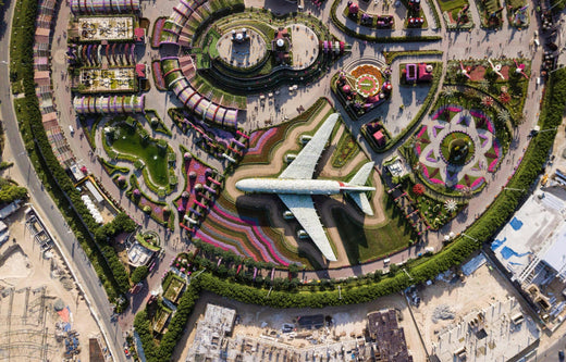 photo du miracle garden vue du dessus on y voit un avion entouré de fleurs